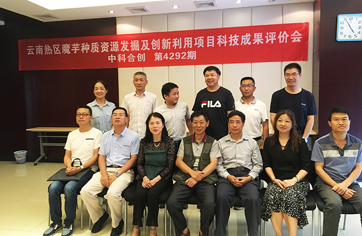 云南热区魔芋种质资源发掘及创新利用 anli.jpg